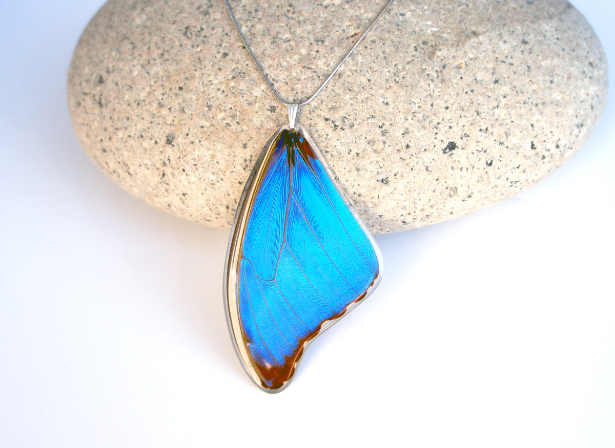 Blue morpho deals jewelry