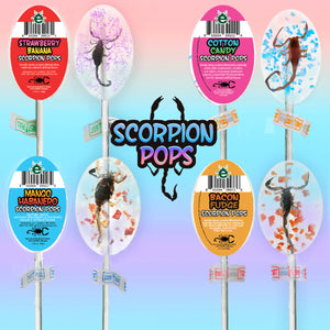 Scorpion Pops