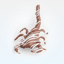 Load image into Gallery viewer, Dessert Scorpion
