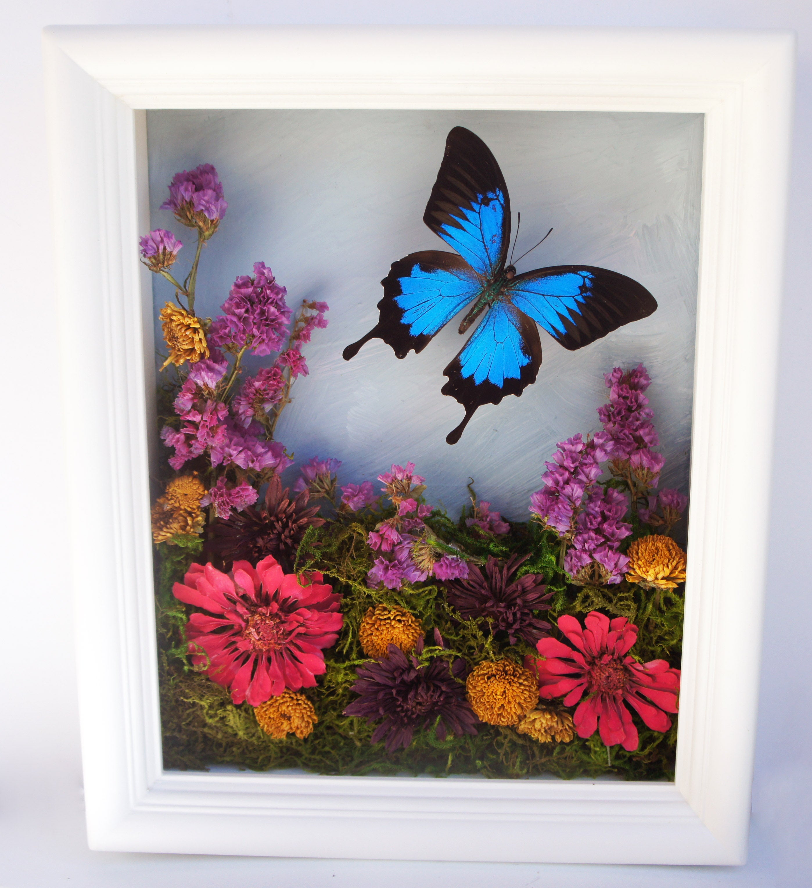 Wildflower, Treasure Box, Colorado, Flower, Pressed Flower, Keepsake, Display deals , Stained Glass, Butterfly, Display Box