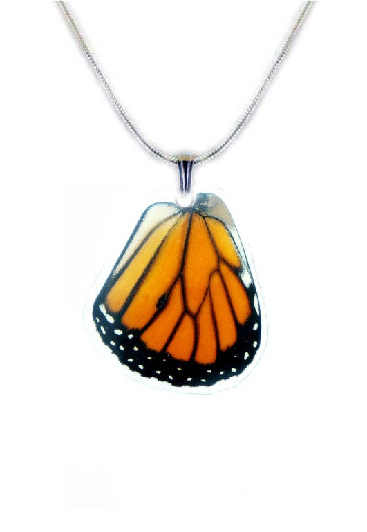 Monarch Butterfly Wing Necklace - Monarch Hindwing – Asana Natural Arts